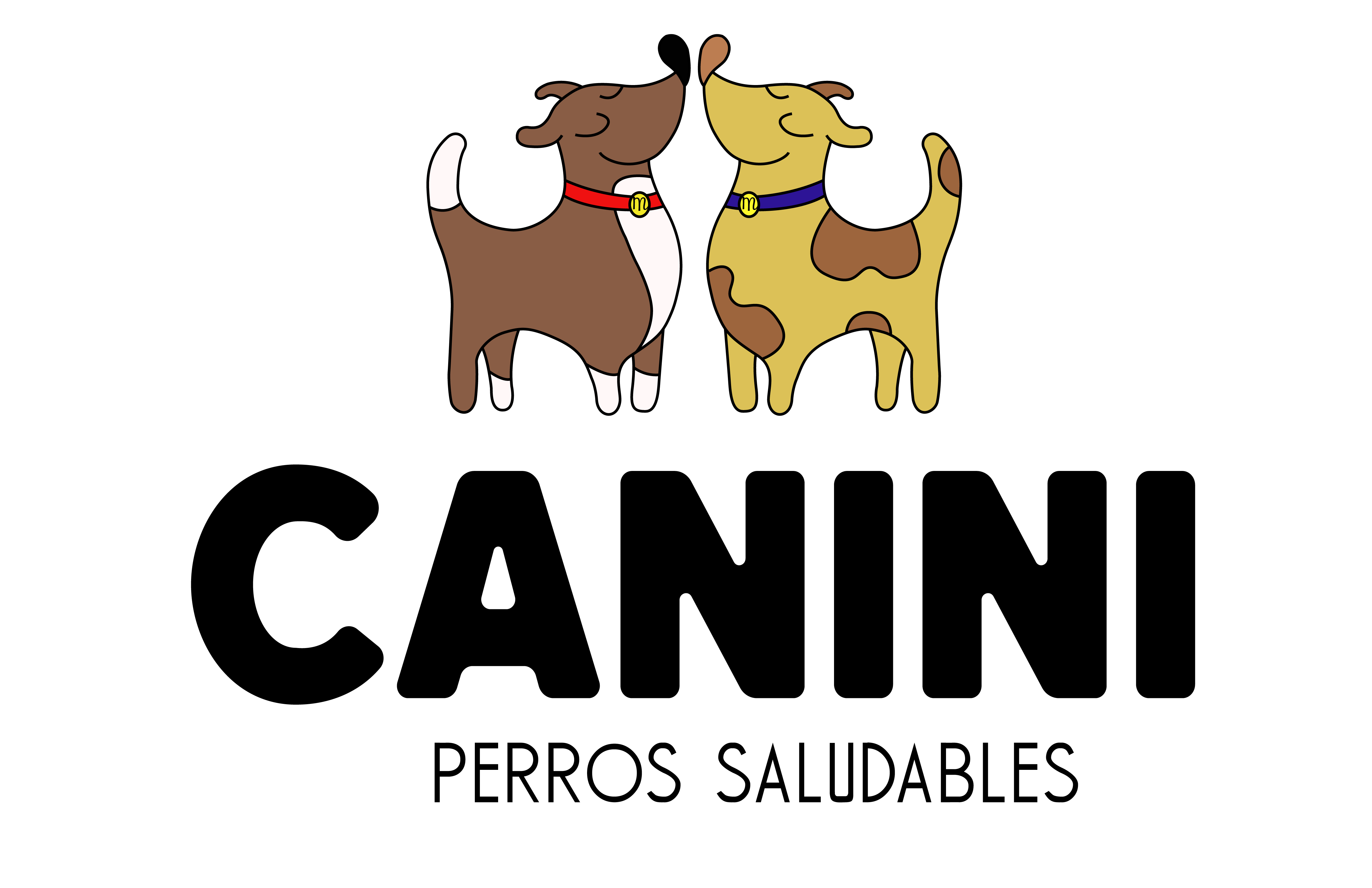 Canini